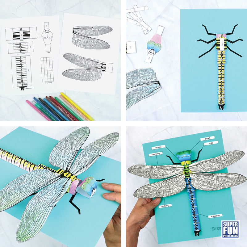 Realistic 3D Paper Insects