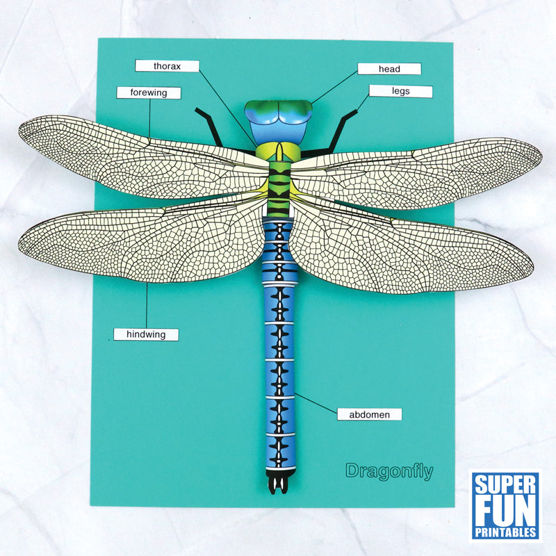 Realistic 3D Paper Insects
