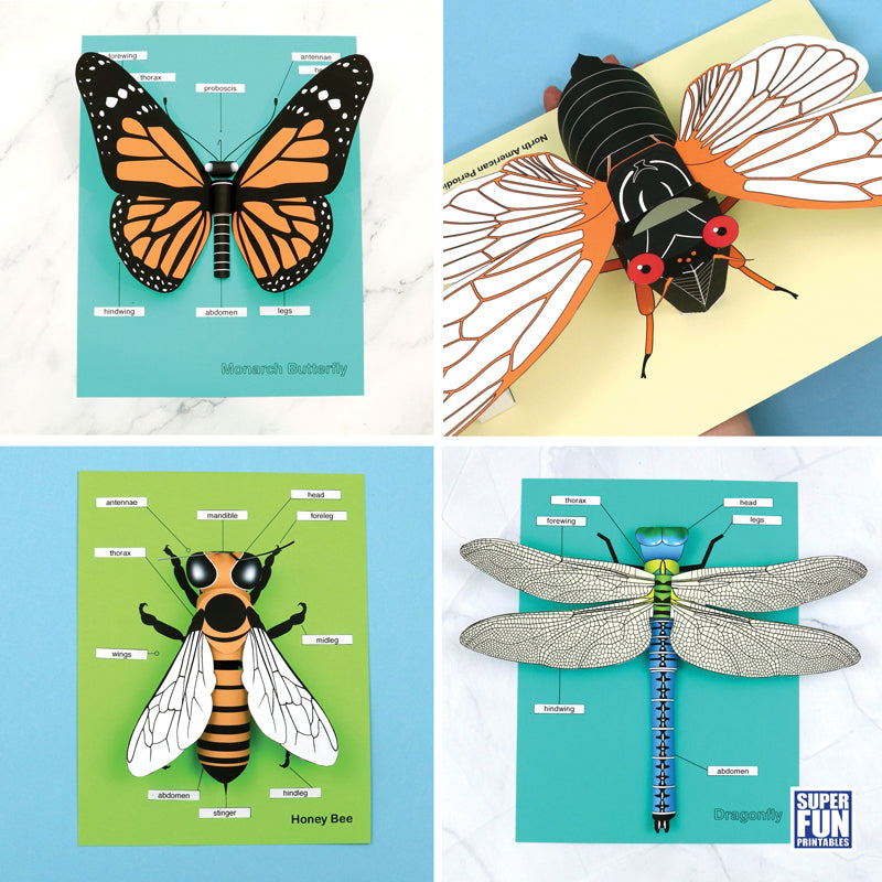 Realistic 3D Paper Insects