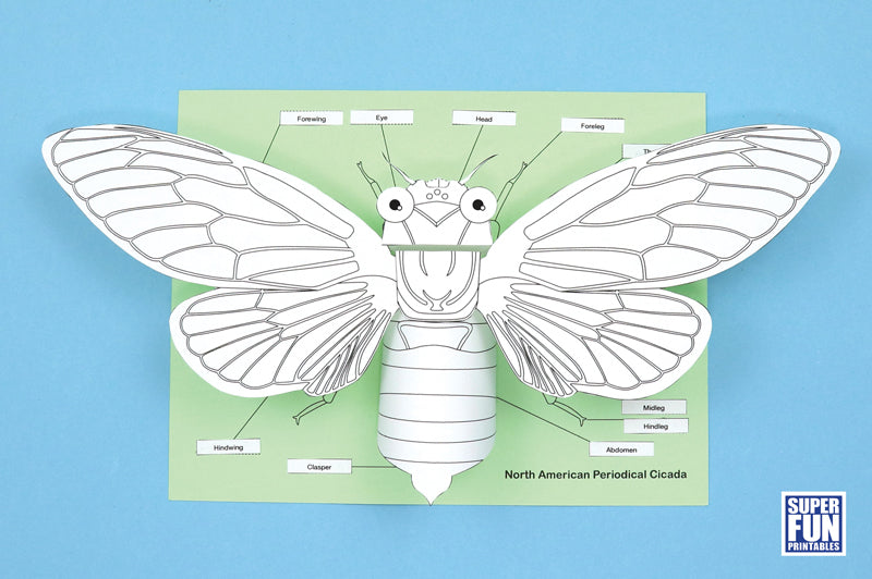 Realistic 3D Paper Insects