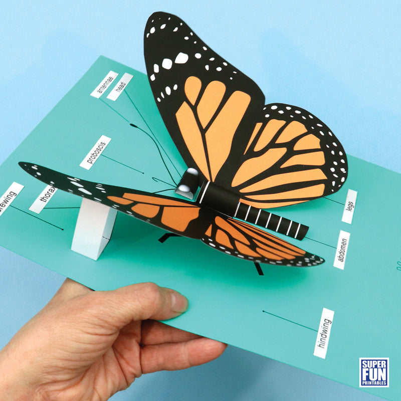 Realistic 3D Paper Insects