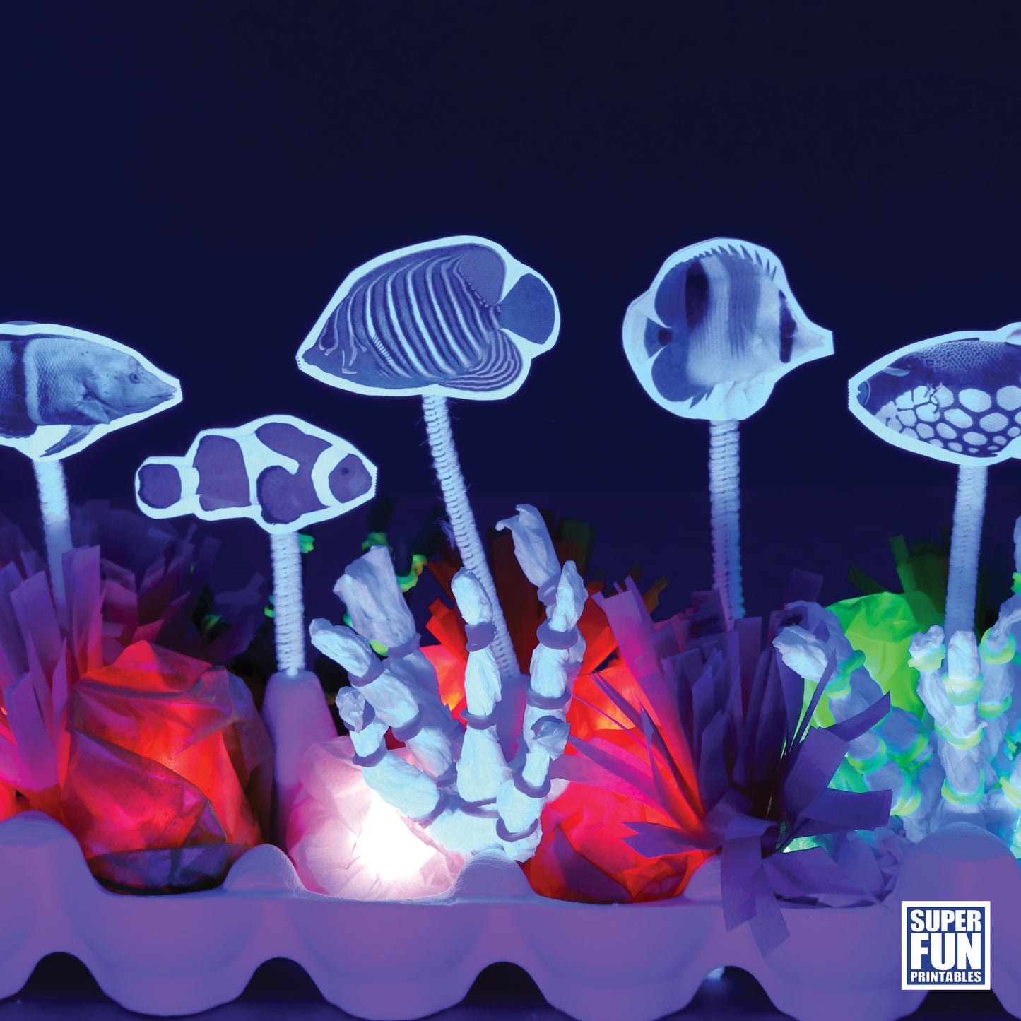 Tropical Reef Craft