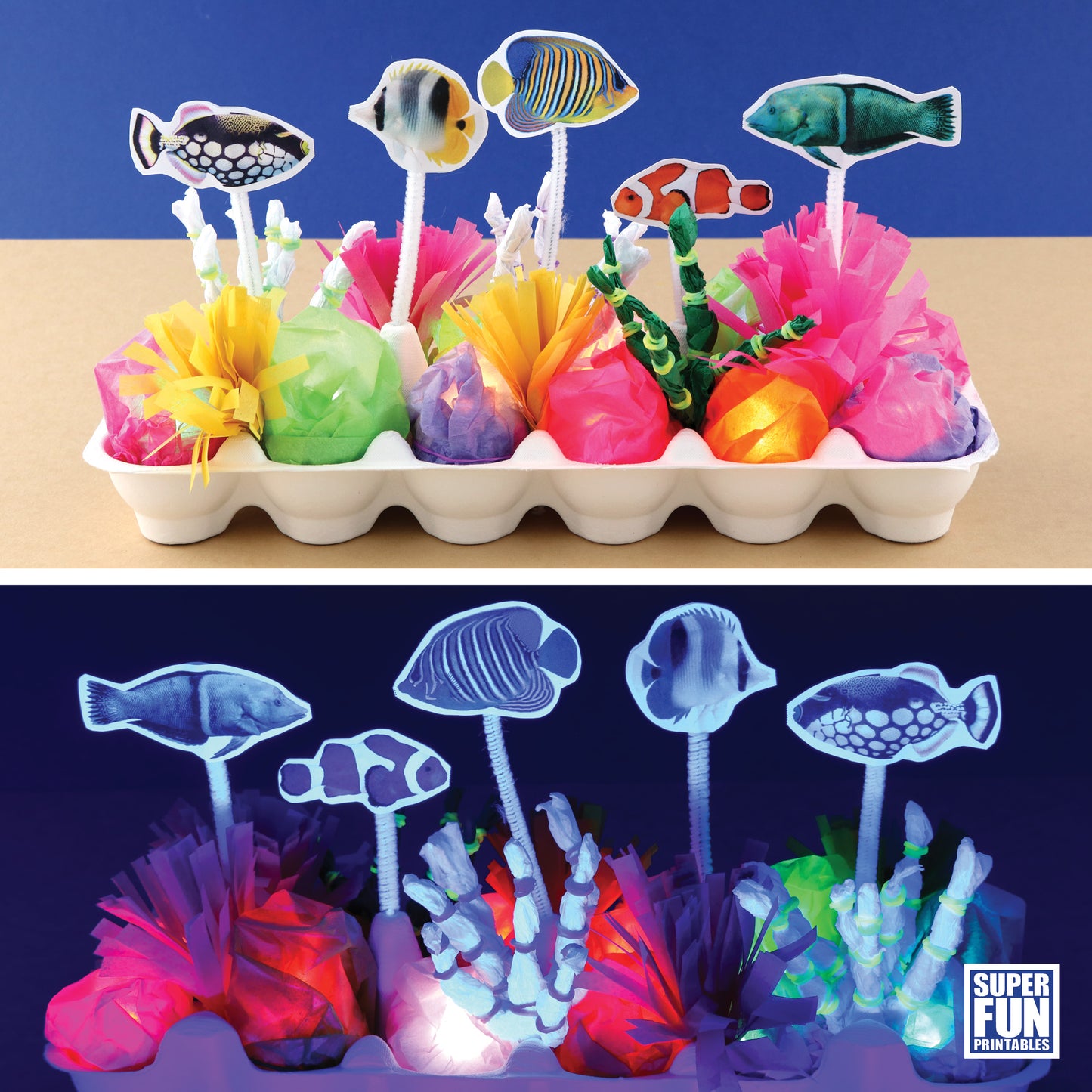 Tropical Reef Craft