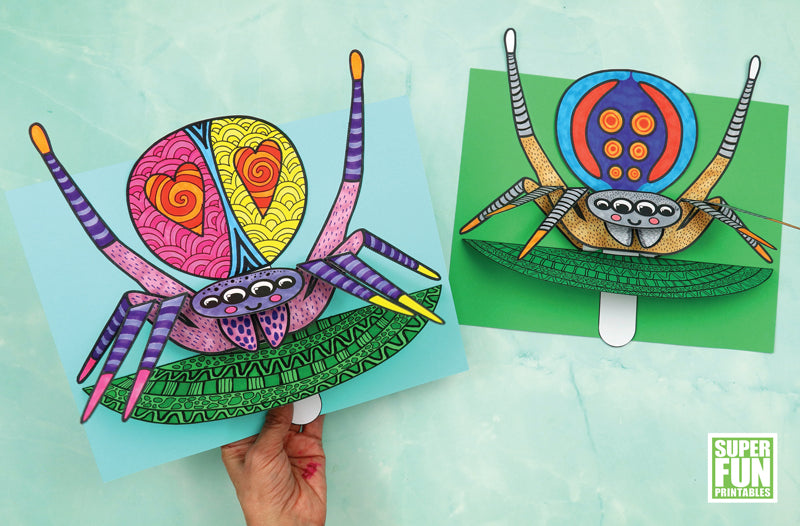 Dancing Peacock Spider