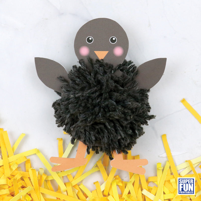 Pom Pom Chick