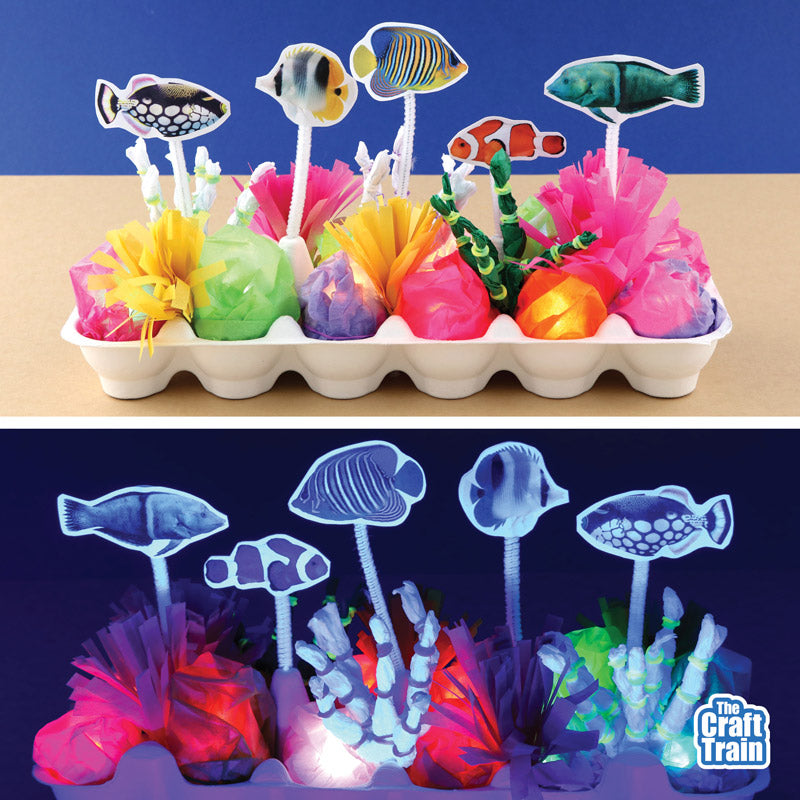 Tropical Reef Craft