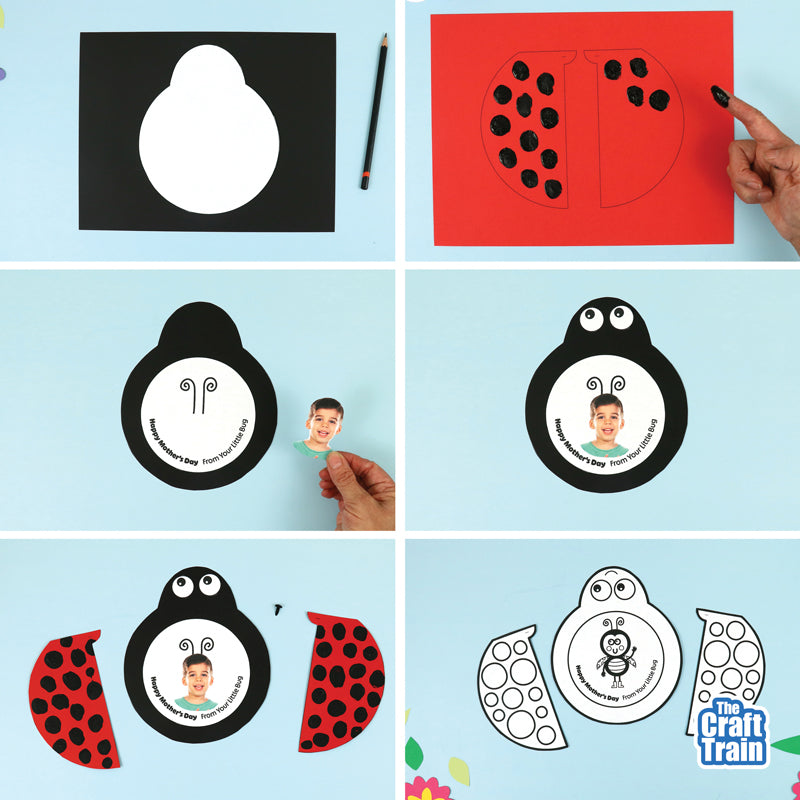 Mother's Day Lady Bug Card