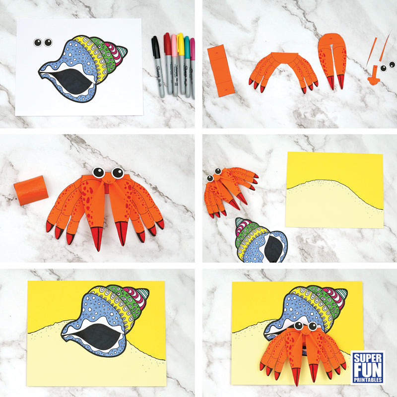 3D Hermit Crab Craft