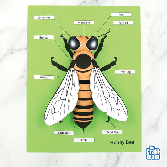 3D paper bee