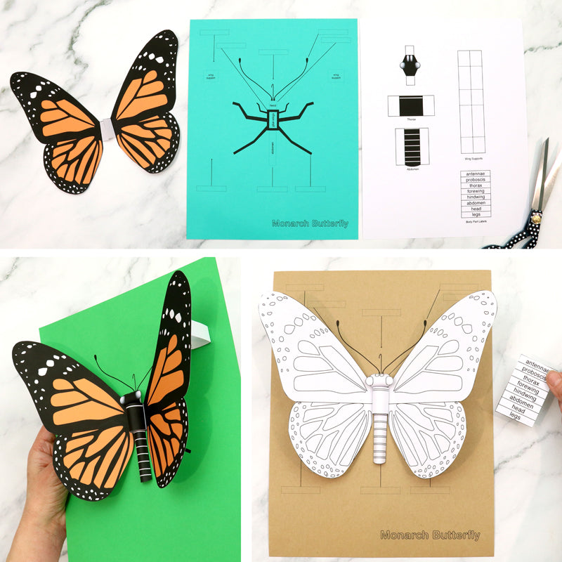 3D Monarch Butterfly craft