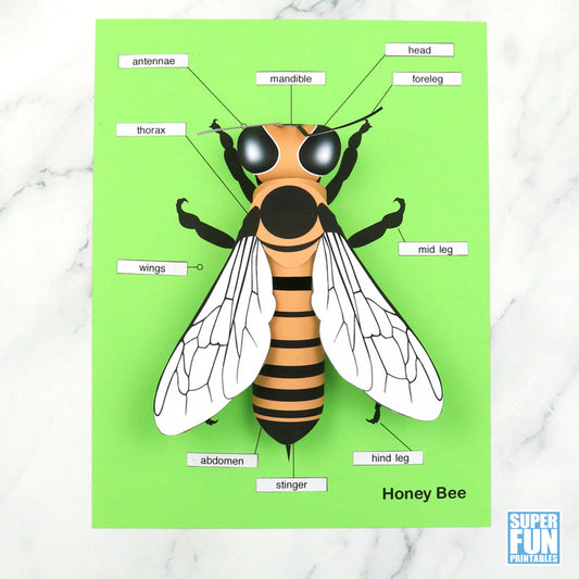 3D paper bee